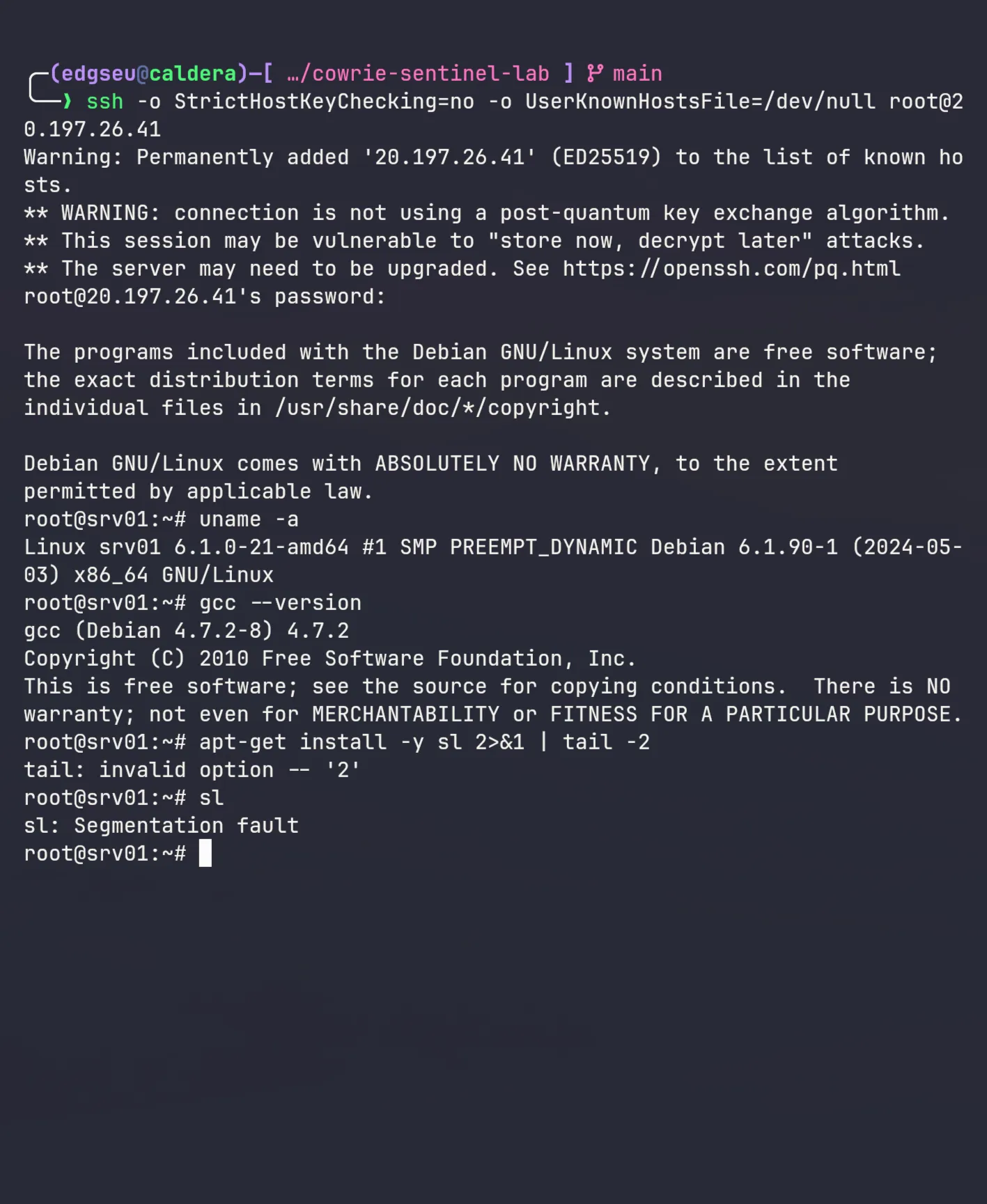 Live honeypot shell: ssh into the decoy, uname -a claims a 2024 Debian 6.1 kernel while gcc --version reports GCC 4.7.2 from 2010, and the freshly apt-installed sl binary segfaults on execution